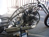 SDC10076.jpg image by FoothillTom